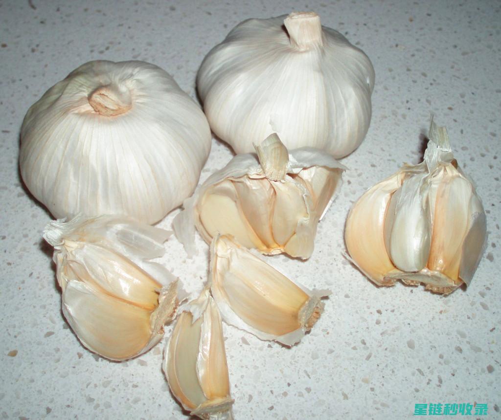 蒜皮去除小能手：教你快速剥蒜皮的独家秘方 (生活小妙招去蒜皮)
