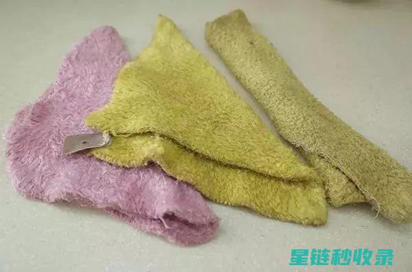 抹布消毒与垃圾分类的结合 (抹布消毒与垃圾的区别)